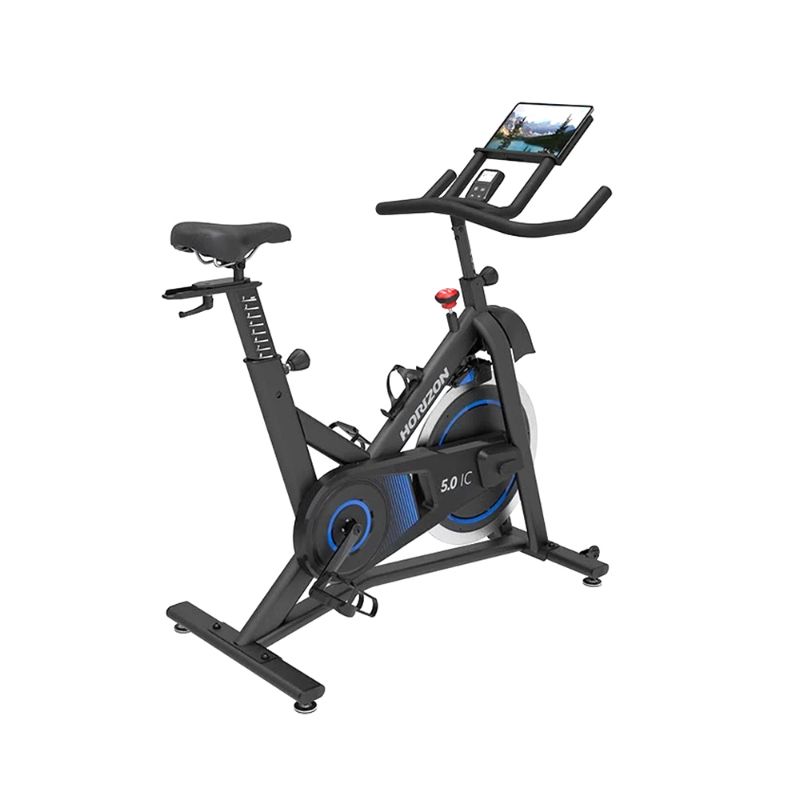 Picture of Horizon 5.0IC Spin Bike